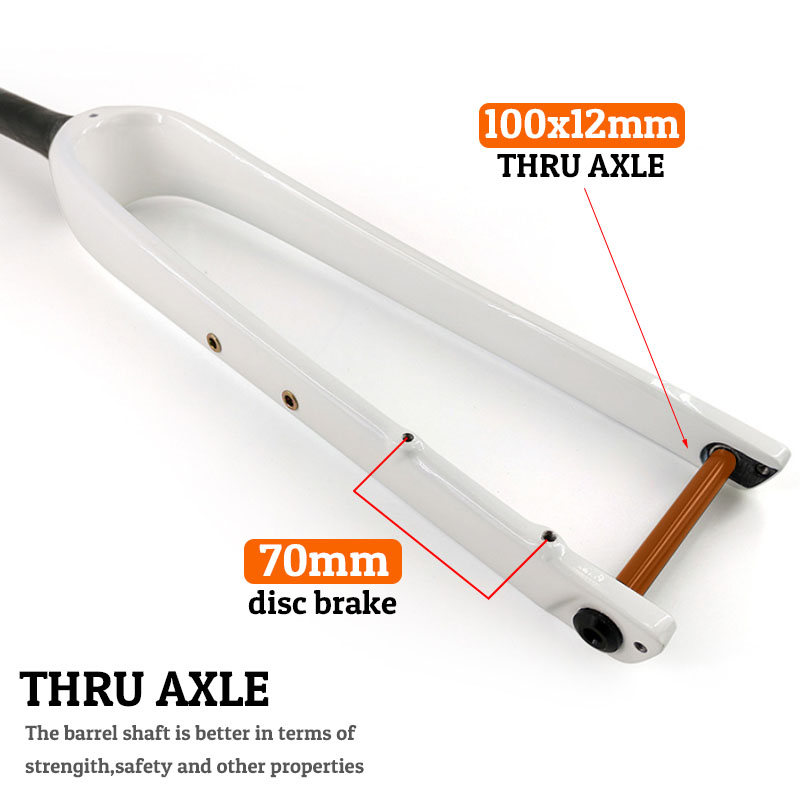 شوكة دراجة جرافل كاملة من أليا - مراجعة Carbon Fork Gravel Disc Brake وسعره