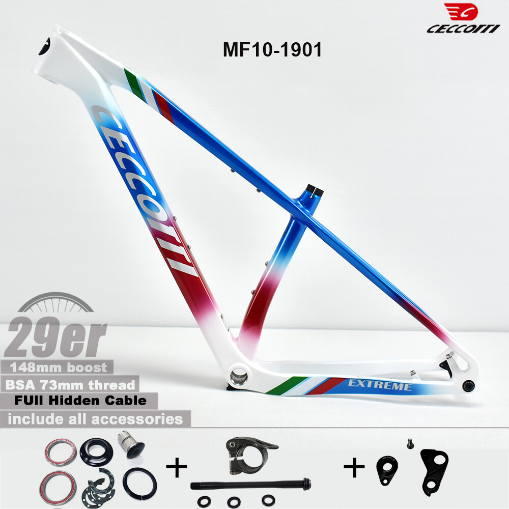 إطار دراجة جبلية CECCOTTI 2026 - مراجعة Carbon Mountain Bike Frame 29Er Boost وسعره