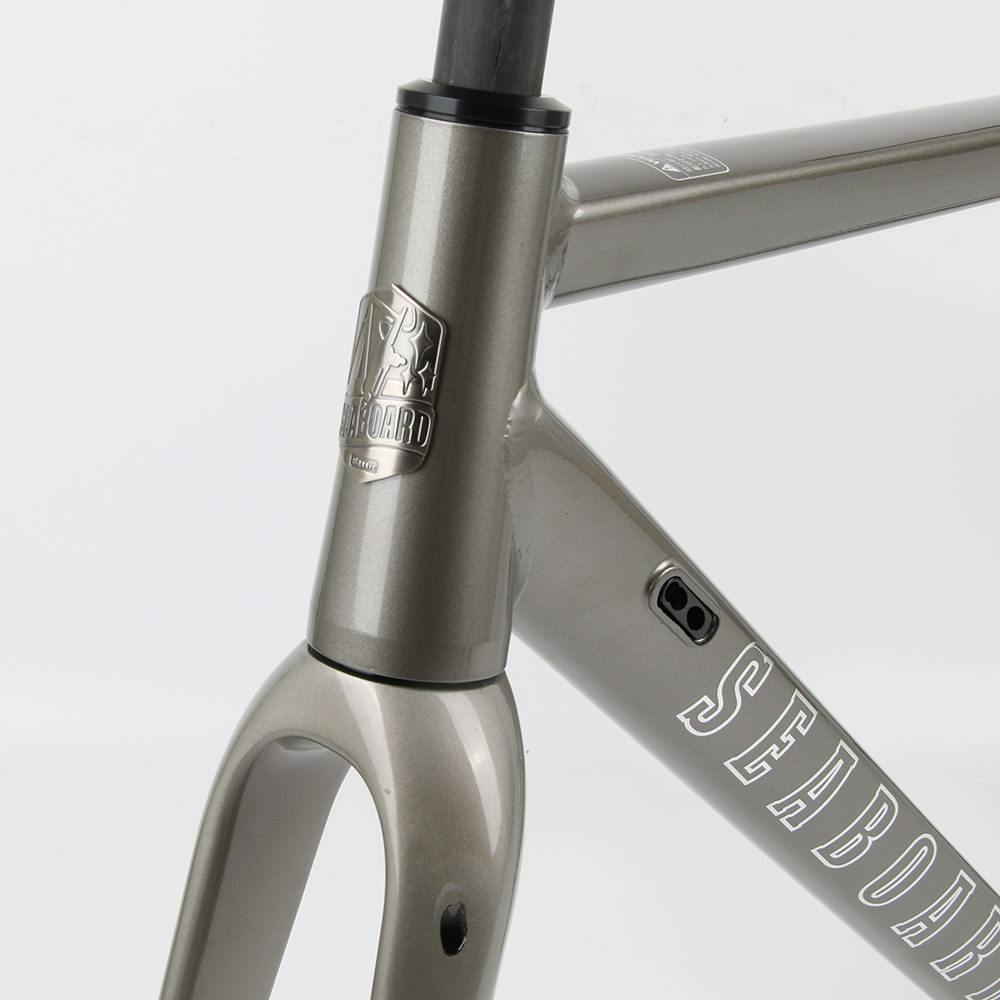 إطار دراجة الطريق البحرية GR02 - مراجعة Carbon Gravel Frame Disc Brake 700C وسعره